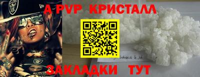 стафф Анжеро-Судженск