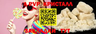 стафф Анжеро-Судженск