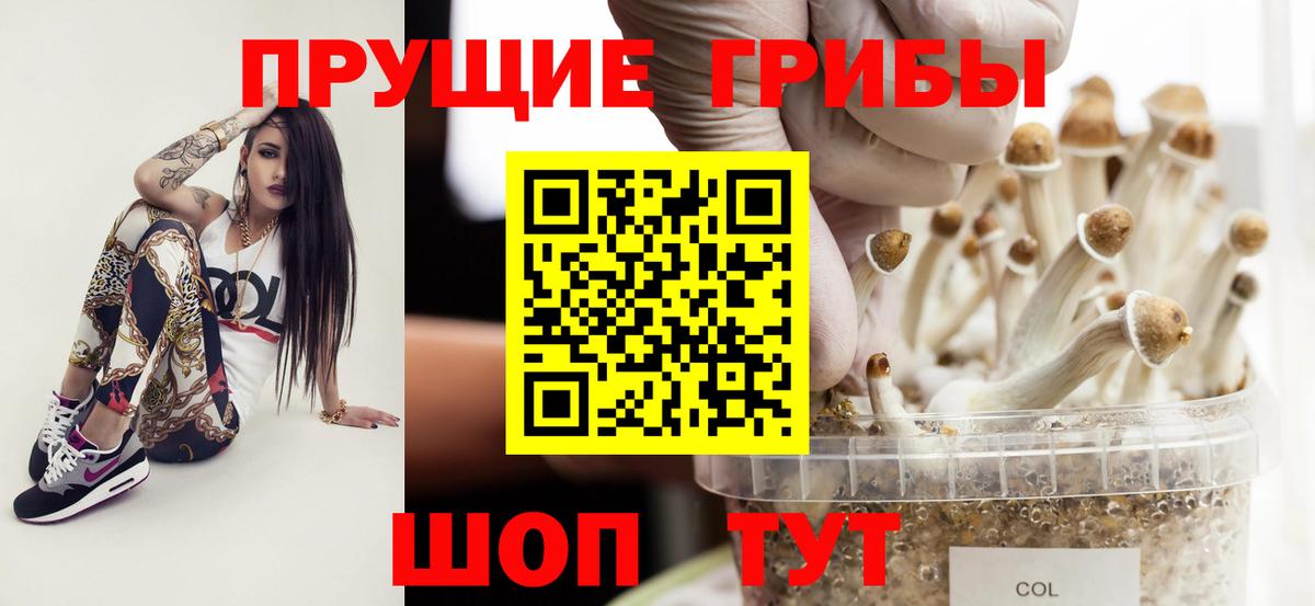 Галлюциногенные грибы Cubensis Пыть-Ях